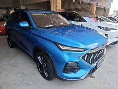 Changan Oushan X5 2021 1.5T DCT Premier - ფოტო 4
