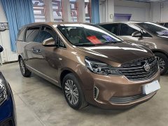 Buick GL8 Land Executive Cabin 652T Luxury - ფოტო 9