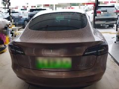 Tesla Model 3 2020 Facelift Standard Range RWD Upgrade - ფოტო 6