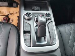 Tank 300 2.0T Challenger - ფოტო 14