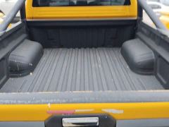 Foton Dajiangjun EV Ethnic Splendor Edition Multi-Purpose Cargo Vehicle - photo 19