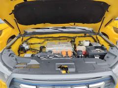 Foton Dajiangjun EV Ethnic Splendor Edition Multi-Purpose Cargo Vehicle - photo 20