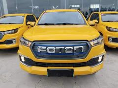 Foton Dajiangjun EV Ethnic Splendor Edition Multi-Purpose Cargo Vehicle - photo 3