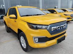 Foton Dajiangjun EV Ethnic Splendor Edition Multi-Purpose Cargo Vehicle - photo 4