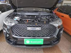 Haval H6 2021 Third Generation 2.0T Automatic Two-Wheel Drive Max - ფოტო 20