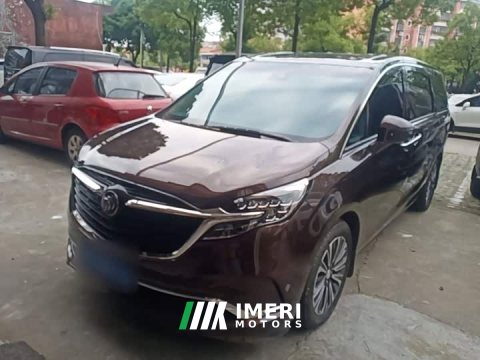 2021 Buick GL8 ES Land Respect 653T Luxury - ავტომობილი ჩინეთიდან