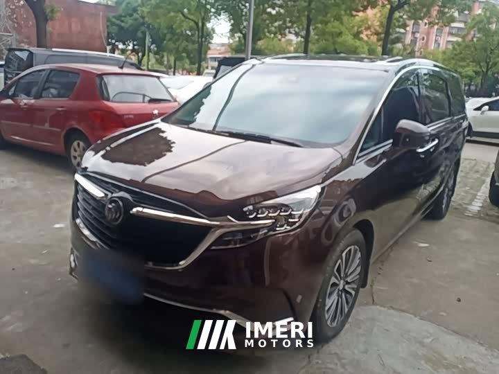 Buick GL8 ES Land Respect 653T Luxury