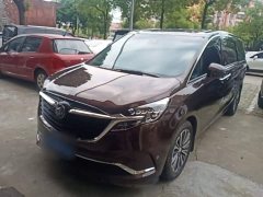 Buick GL8 ES Land Respect 653T Luxury - ფოტო 2