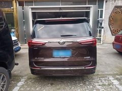 Buick GL8 ES Land Respect 653T Luxury - ფოტო 6
