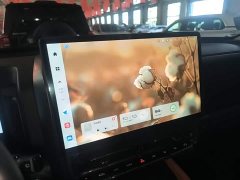 Haval H9 2.0T Gasoline AWD Extreme Edition - ფოტო 13