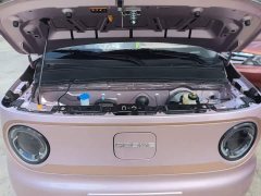 Geely Panda 2025 Panda Mini 210km Vitality Edition - ფოტო 20