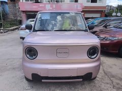 Geely Panda 2025 Panda Mini 210km Vitality Edition - ფოტო 3