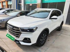 Haval H6 National Trend Edition 1.5T Automatic Urban Version - ფოტო 1