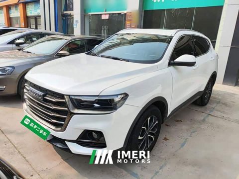 2021 Haval H6 National Trend Edition 1.5T Automatic Urban Version - ავტომობილი ჩინეთიდან