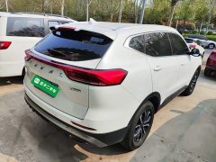 Haval H6 National Trend Edition 1.5T Automatic Urban Version - ფოტო 5