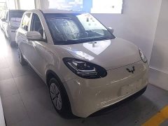 Wuling Binguo 203km Light Enjoy Edition - ფოტო 4