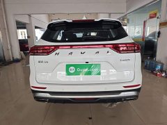 Haval H6 2025 1.5T National Trend Urban Edition - ფოტო 6