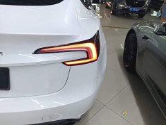 Tesla Model 3 2023 Rear-Wheel Drive - ფოტო 8