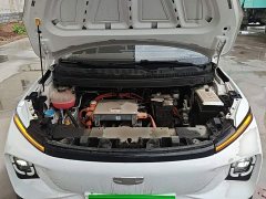 Geely Geometry E Firefly 301km Aurora - ფოტო 16
