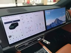 Li Auto L6 Max - ფოტო 13
