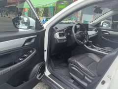 Geely Emgrand X6 2020 1.4T CVT Luxury - ფოტო 16