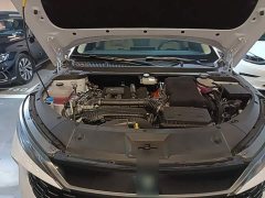 BYD Qin L 2024 DM-i 120KM Excellence Edition - ფოტო 19