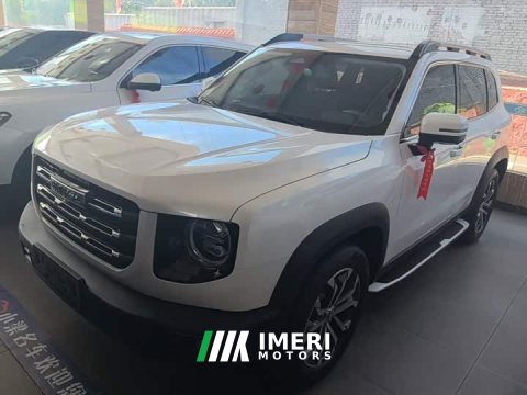 2021 Great Wall Dachshund 1.5T DCT Two-Wheel Drive Malinois Edition - ავტომობილი ჩინეთიდან
