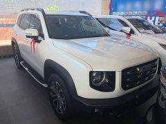 Great Wall Dachshund 1.5T DCT Two-Wheel Drive Malinois Edition - ფოტო 4