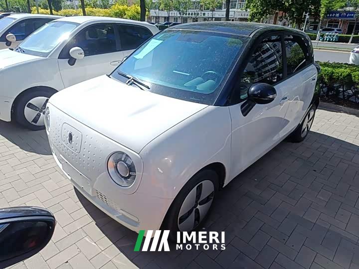 ORA Black Cat 301km Base - ავტომობილი ჩინეთიდან