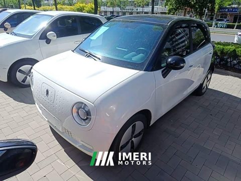 2021 ORA Black Cat 301km Base - ავტომობილი ჩინეთიდან
