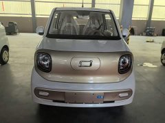 FAW Besturn Xiaoma 222km Colorful Edition - ფოტო 3