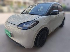 Wuling Binguo 333km Lingxi Connected Edition - ფოტო 1