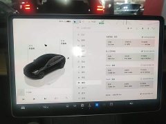 Tesla Model 3 2022 Rear-Wheel Drive - ფოტო 12