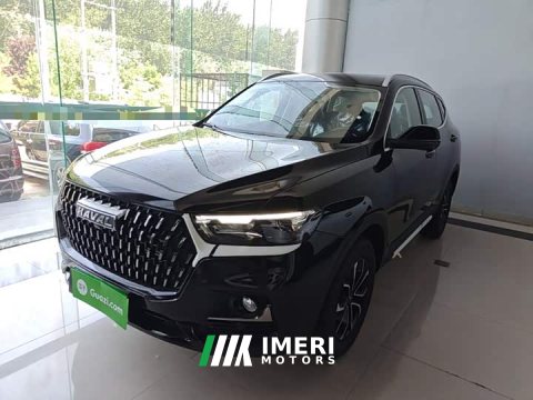 2026 Haval H6 2023 National Trend Edition 1.5T Automatic Urban Version - ავტომობილი ჩინეთიდან