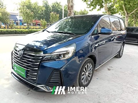 2022 Buick GL8 2023 Land Executive Cabin 652T Luxury - ავტომობილი ჩინეთიდან