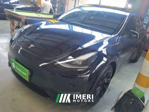 2021 Tesla Model Y Standard Range RWD - ავტომობილი ჩინეთიდან