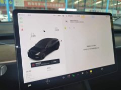Tesla Model Y Standard Range RWD - ფოტო 12