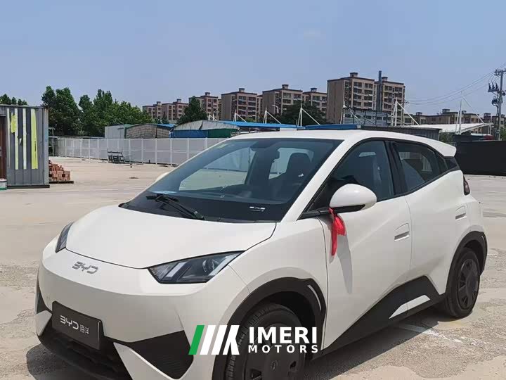 BYD Seagull Smart Drive 305km Vitality Edition
