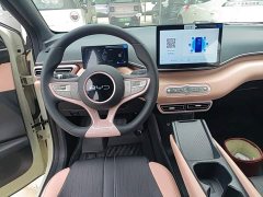 BYD Seagull 2025 Smart Drive 305km Vitality Edition - ფოტო 11