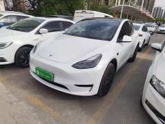 Tesla Model Y Rear-Wheel Drive - ფოტო 2