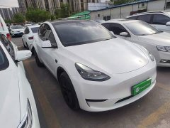 Tesla Model Y Rear-Wheel Drive - ფოტო 4