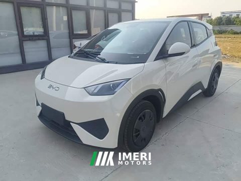 2026 BYD Seagull 2025 Smart Drive 305km Vitality Edition - ავტომობილი ჩინეთიდან