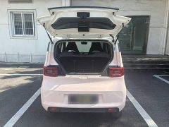Wuling Hongguang MINIEV Macaron Fashion Edition LFP Battery - ფოტო 11
