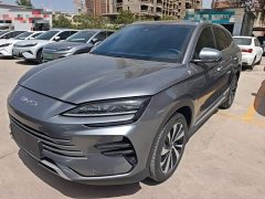 BYD Song Plus New Energy 2023 Champion Edition DM-i 150KM Flagship Plus - ფოტო 2