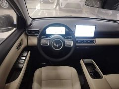 Wuling Binguo PLUS 2024 510km 5-Seater - ფოტო 11