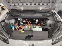 Wuling Binguo PLUS 2024 510km 5-Seater - ფოტო 20