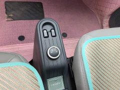 Wuling Hongguang MINIEV Macaron Fashion Edition LFP Battery - ფოტო 14