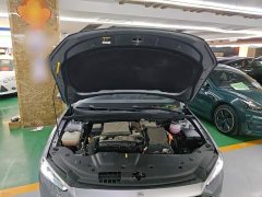 BYD Qin PLUS 2023 Champion Edition DM-i 55KM Leading - ფოტო 20