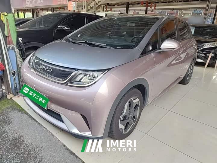 BYD Dolphin 405km Fashion Edition - ავტომობილი ჩინეთიდან