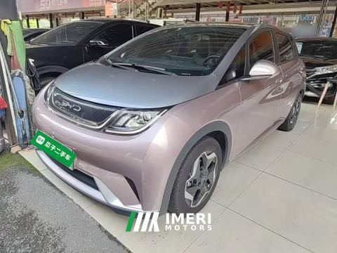 2022 BYD Dolphin 405km Fashion Edition